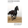 Black Horse, Black Rider
