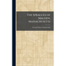 The Spragues of Malden, Massachusetts