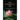 Lady Underground's Gift: Liberating the Soul Within Us