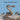 Snakes of North America Kids Book: Great Children's Book about the Types of Snakes in North America