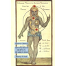 The Human Body in Symbolism: Esoteric Classics
