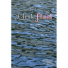 Clerk Fluid