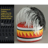 Touchstones of Tradition: Insights From The Material Culture of Miccosukee and Seminole People