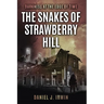 Darkness at the Edge of Time: The Snakes of Strawberry Hill