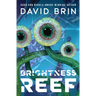 Brightness Reef