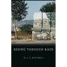 Seeing Through Race