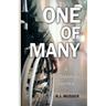 One of Many: A Posttraumatic Journey