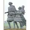 Scotland and Beyond; The Families of Donald Gunn (Tormsdale) and John Gunn (Dalnaha, Strathmore and Braehour)