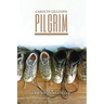 Pilgrim: Finding a New Way on the Camino de Santiago