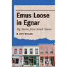 Emus Loose in Egnar: Big Stories from Small Towns