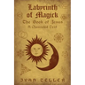 Labyrinth of Magick: The Book of Jesus : A Channeled Text