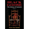 Black Goose: : The History of Seekonk, Vol. 1