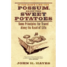 If You Don't Like the Possum, Enjoy the Sweet Potatoes: Some Principles for Travel Along the Road of Life
