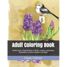 Adult Coloring Book: Jumbo Giant Coloring Book of Birds, Garden Landscapes, Butterflies, Country Seasons and More