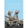 Part One: Miracle In The Pines - An Eagles Love Story