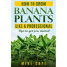 How to grow Banana Plants like a Professional: Beginner's guide and tips to get you started