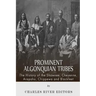 Prominent Algonquian Tribes: The History of the Shawnee, Cheyenne, Arapaho, Chippewa, and Blackfeet