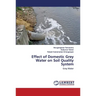 Effect of Domestic Grey Water on Soil Quality System