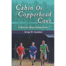Cabin On Copperhead Cove: A Bon Air Boys Adventure