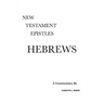 Hebrews: A Critical & Exegetical Commentary