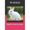 Rabbit drawing book