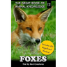 Foxes: The Sly Red Creatures