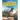 How to Draw Carnivore Dinosaurs Step-by-Step Guide: Best Carnivore Dinosaur Drawing Book for You and Your Kids