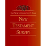The New Interpreter's(r) Bible New Testament Survey