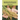 Agricultural Food Economics: Global Challenges and Developments