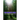 The Shining Ones Ambassadors of a New Age of Light