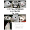 Animal Acupressure Illustrated The Ferret
