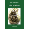 What to Believe? - About Extraordinary Phenomena and Consciousness