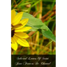 Selected Letters Of Saint Jane Frances De Chantal