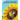ZeeZee the Bee: A Tale of a Magical Friendship