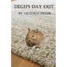 Degu's Day Out