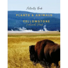 Plants & Animals of Yellowstone National Park: Activity Book