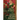 Eleven Pipers Piping