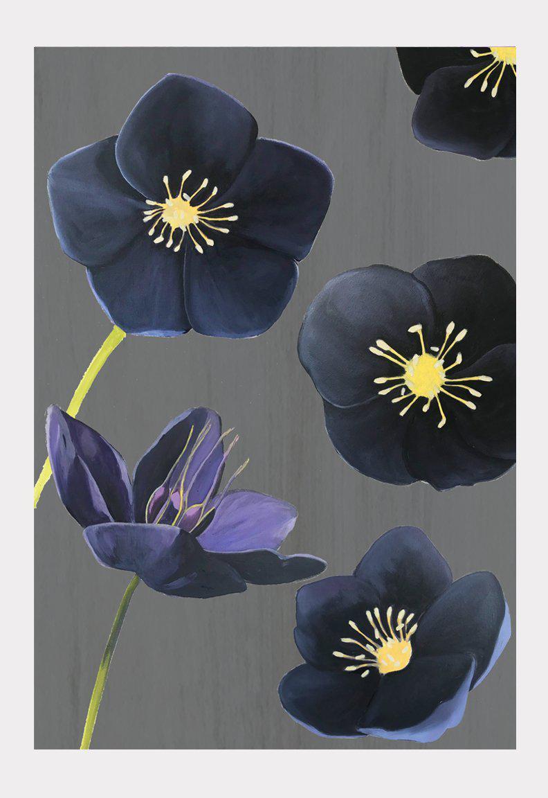 Art Print:  Black Hellebore on Charcoal by India & Purry