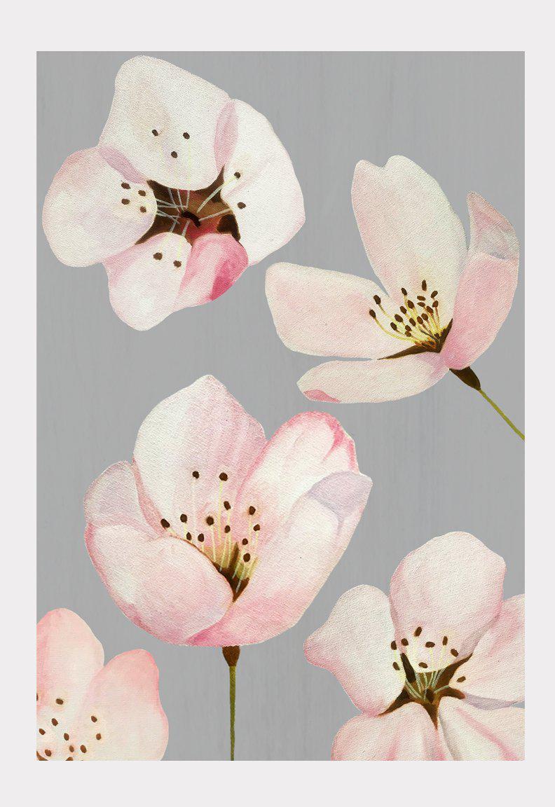 Art Print:  Cherry Blossoms on Grey by India & Purry