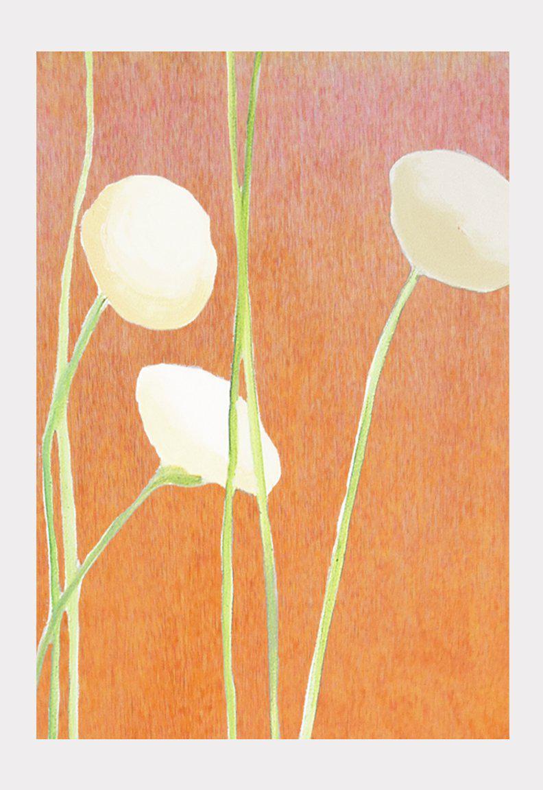 Art Print:  Cream Flowers on Orange by India & Purry