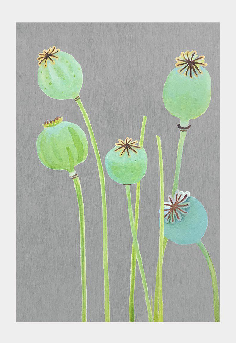 Art Print:  Poppy Pods on Grey by India & Purry