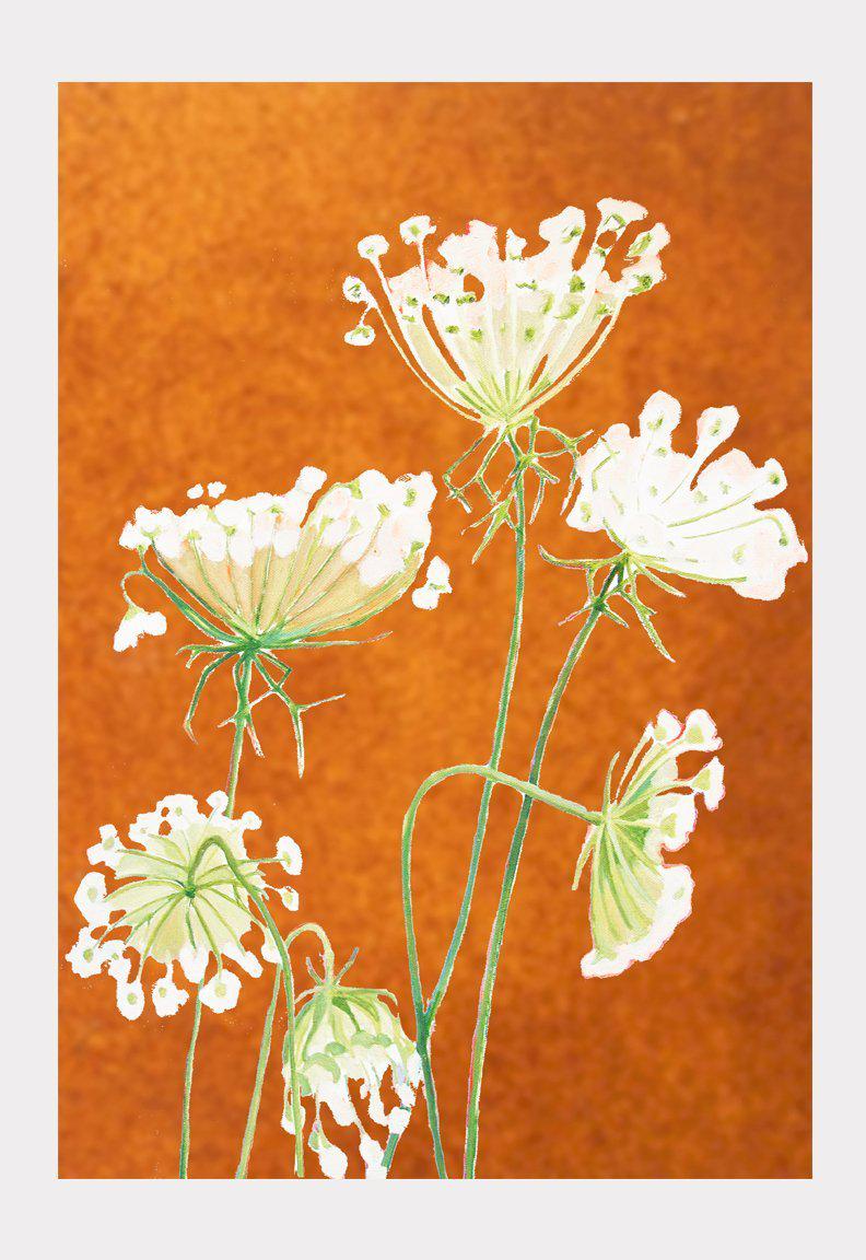 Art Print:  Queen Anne's Lace on Rusty Orange by India & Purry