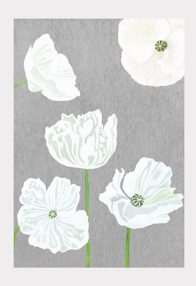 Art Print:  White Poppies on Grey by India & Purry