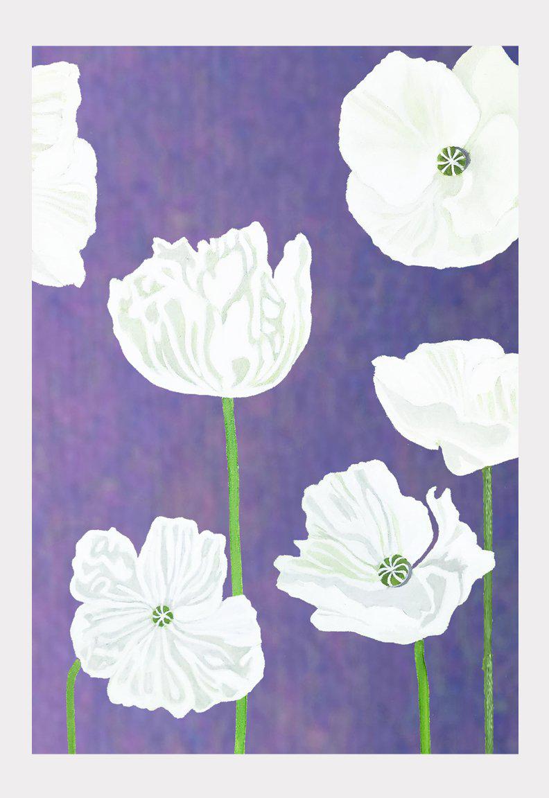 Art Print:  White Poppies on Violet by India & Purry