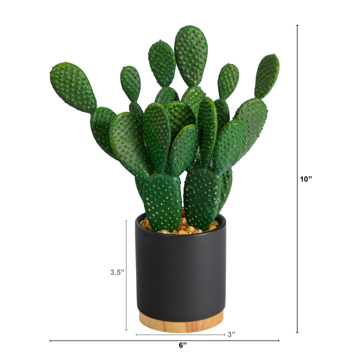 10” Cactus Succulent Artificial Plant in Planter by Nearly Natural