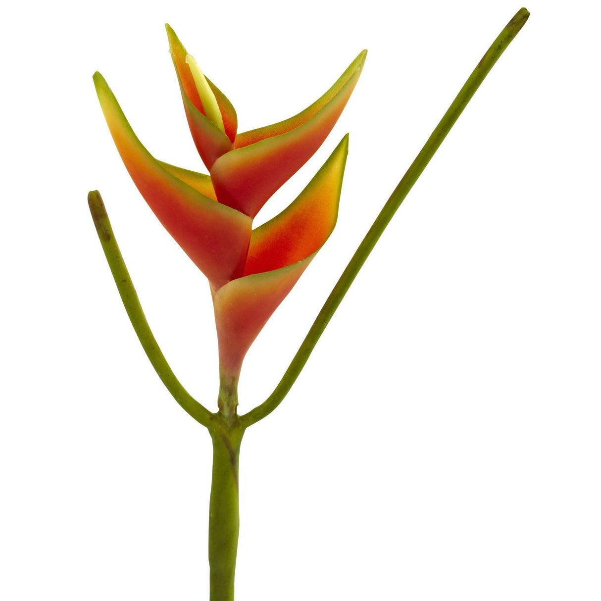 14’’ Mini Heliconia Artificial Flower (Set of 6) by Nearly Natural