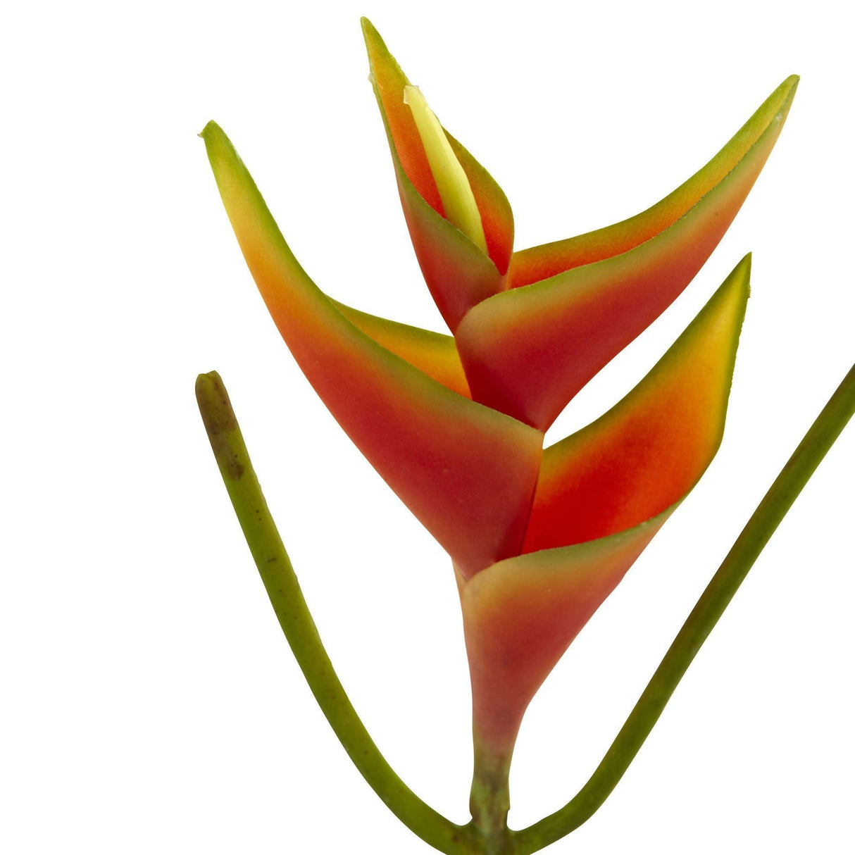 14’’ Mini Heliconia Artificial Flower (Set of 6) by Nearly Natural