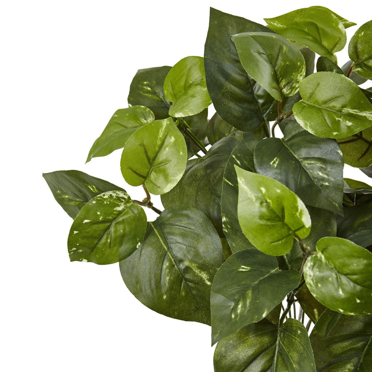 16” Pothos Artificial Plant (Set of 6) by Nearly Natural