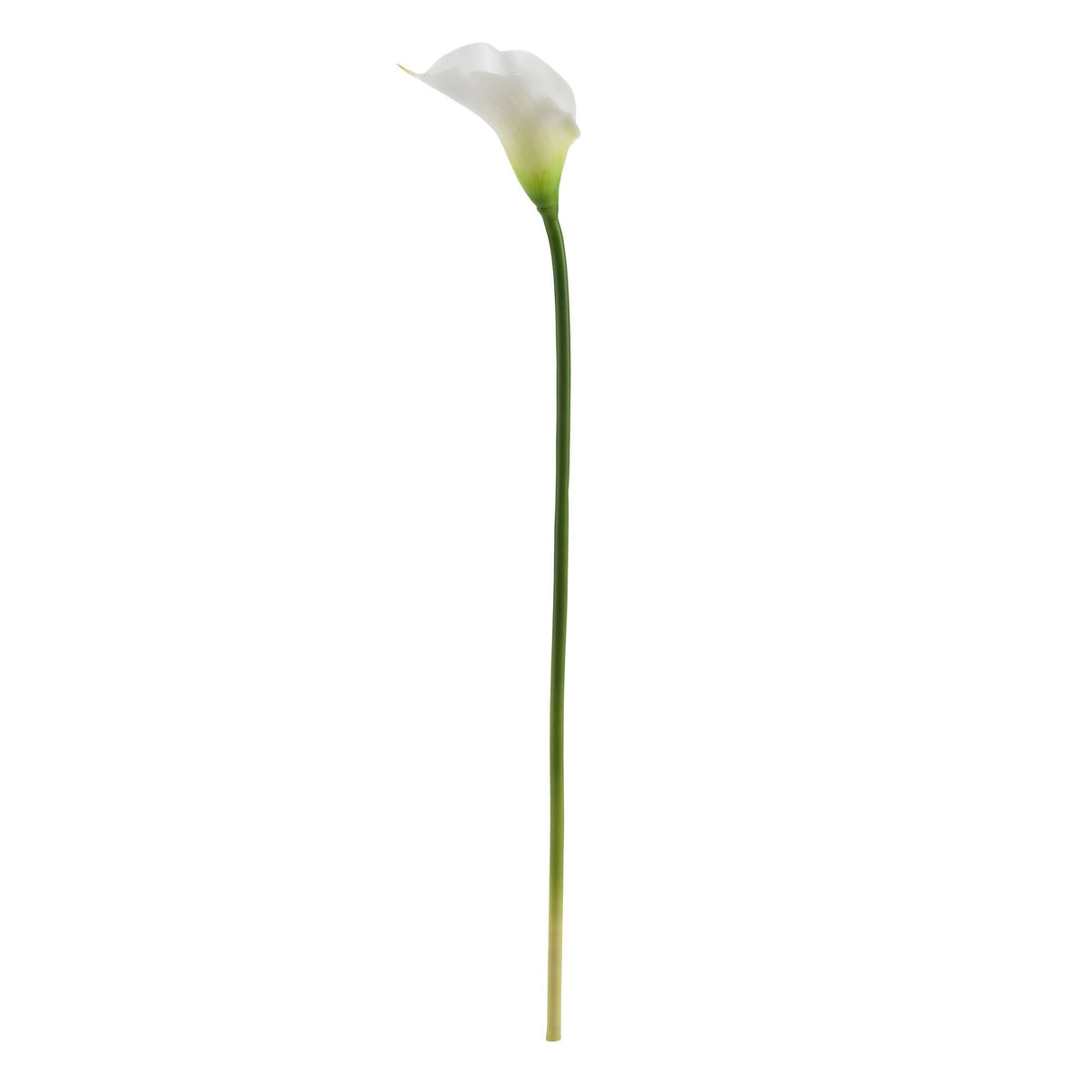 19.5” Calla Lily Artificial Flower (Set of 12) by Nearly Natural