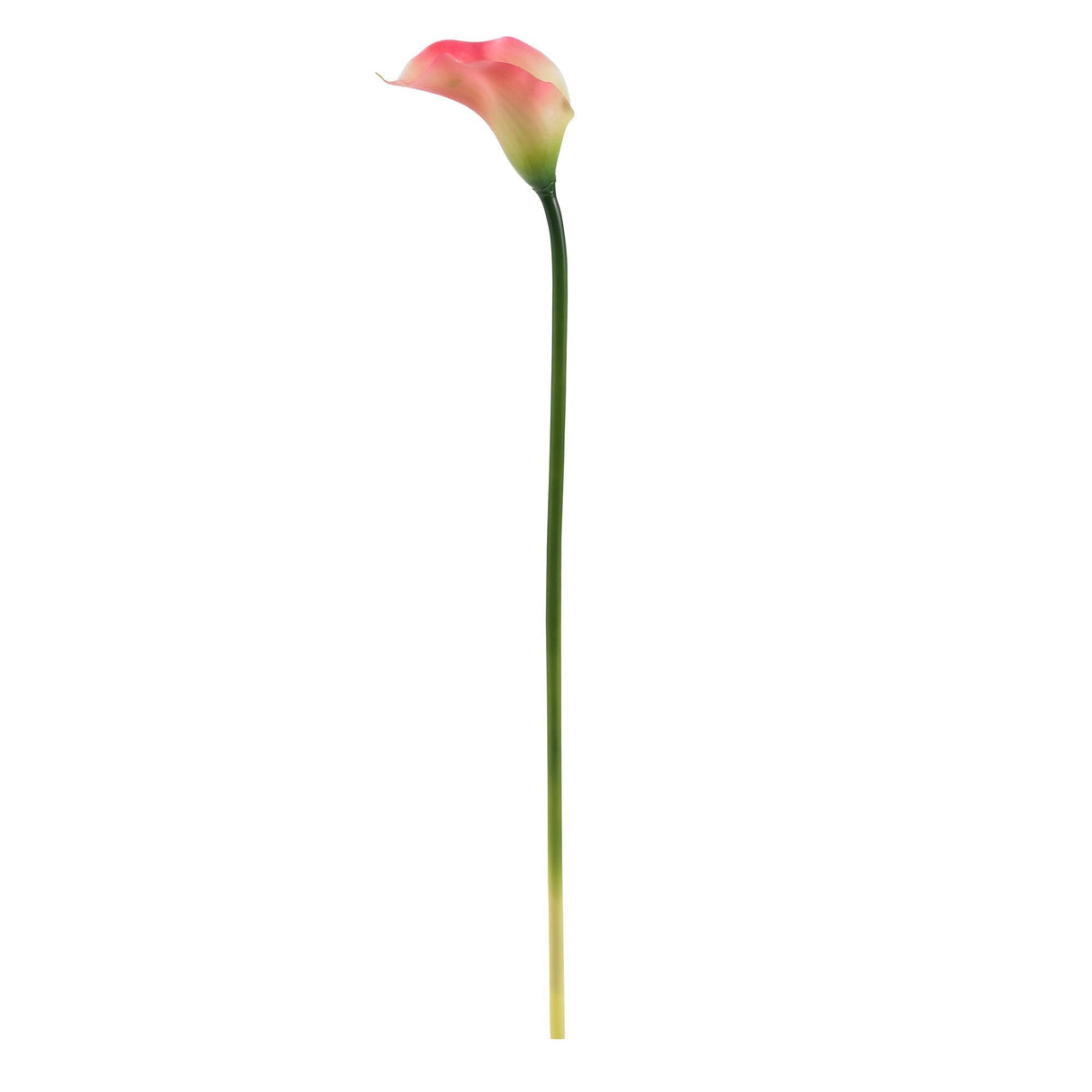 19.5” Calla Lily Artificial Flower (Set of 12) by Nearly Natural